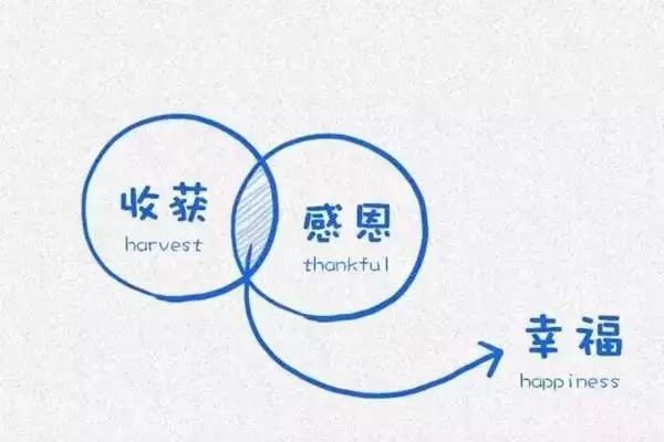 1525678889424486.jpg 2.jpg