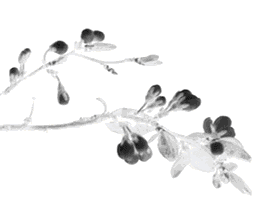 1538191037908720.gif 微信圖片_20180929101946.gif