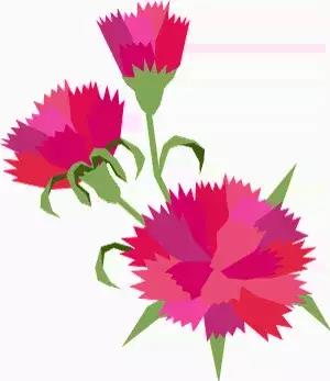 1540438839903246.jpg 微信圖片_20181025113804.jpg