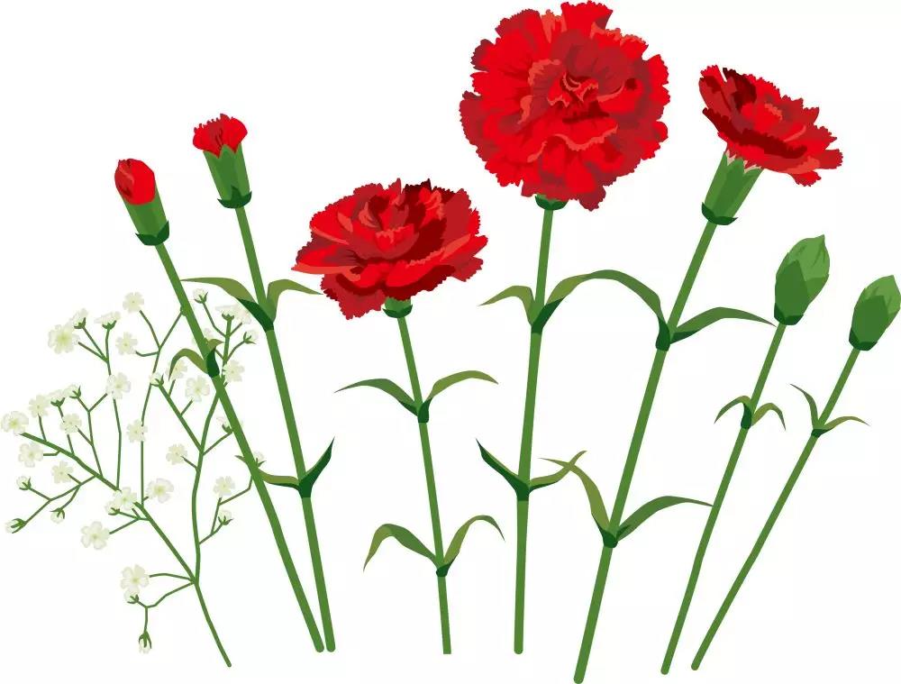 1543458420124279.jpg 1543458420124279.jpg