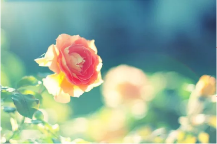 1553670748163989.png image.png