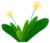 1553670833139122.gif 微信圖片_20190327141822.gif