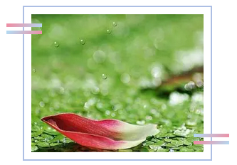 1558404991119642.png image.png