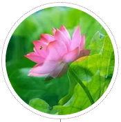 1561519602672250.png image.png