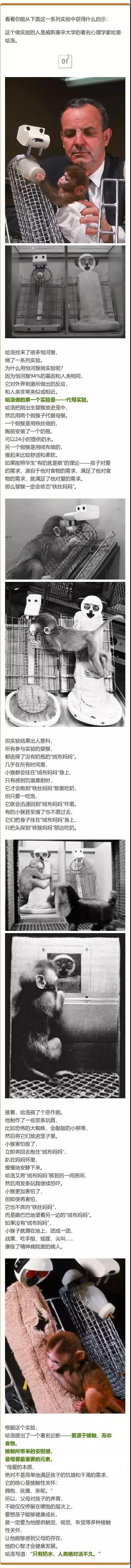 1561529927614802.jpg 微信圖片_20190626141605.jpg