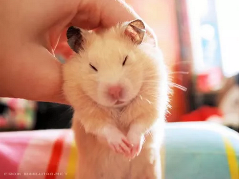 1562638300706985.png image.png