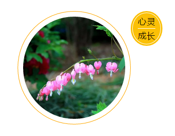 1562638535118638.png image.png