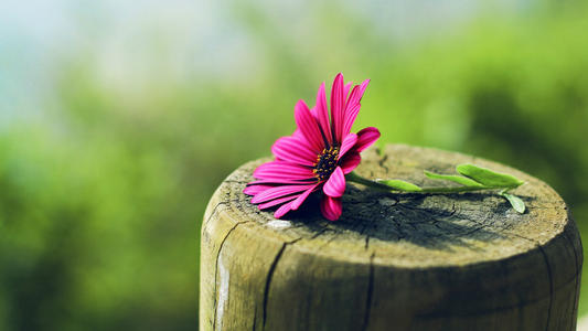 1596509735148387.jpg u=127120514,1193445211&fm=26&gp=0.jpg