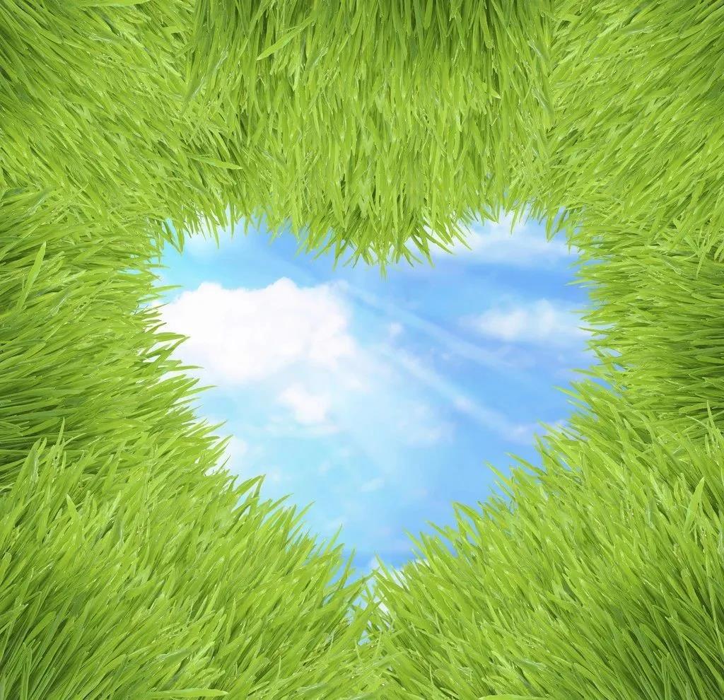 1596677592110581.jpg 微信圖片_20200806093304.jpg