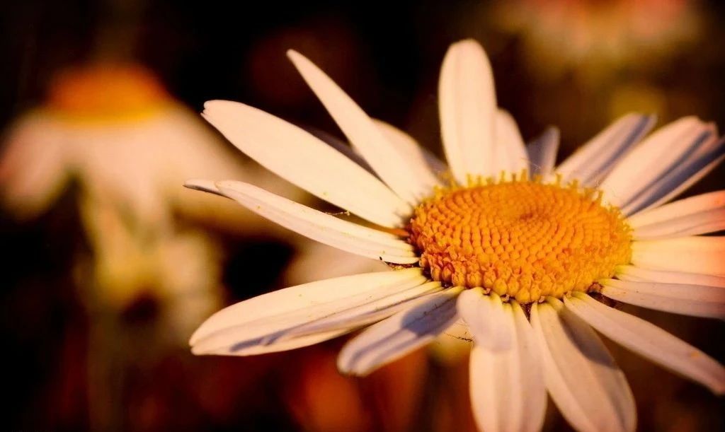 1597195569857495.jpg 1597195569857495.jpg