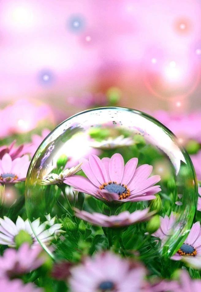 1597628290515079.jpg 微信圖片_20200817093728.jpg