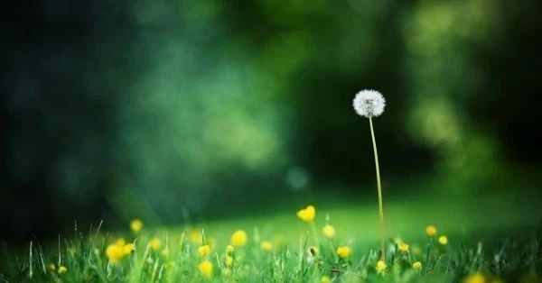 1599608462110146.jpg 微信圖片_20200909074054.jpg