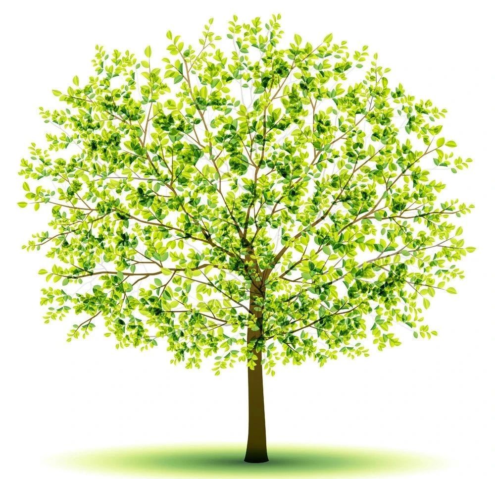 1600915122111323.jpg 微信圖片_20200924103705.jpg