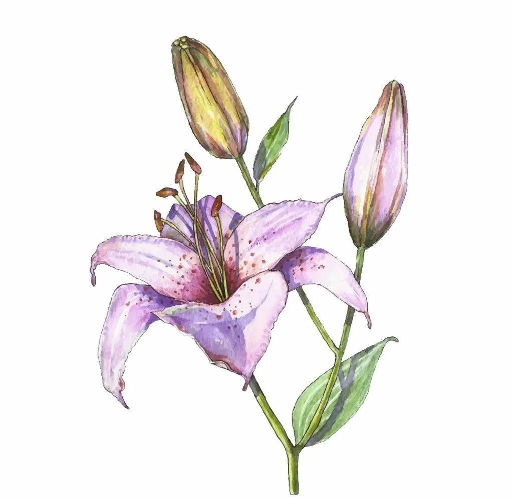 1612519591266497.jpg 微信圖片_20210205180558.jpg