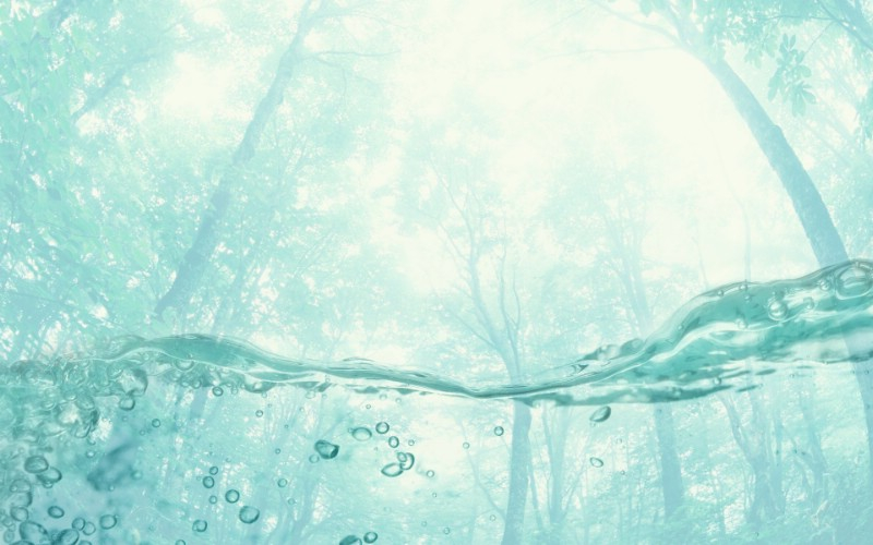 1624239213394496.jpg 1624239213394496.jpg