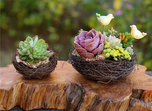 1625041094226256.jpg 微信圖片_20210630161516.jpg