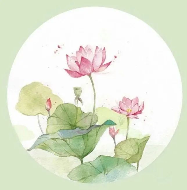 1625298831943920.jpg 1625298831943920.jpg