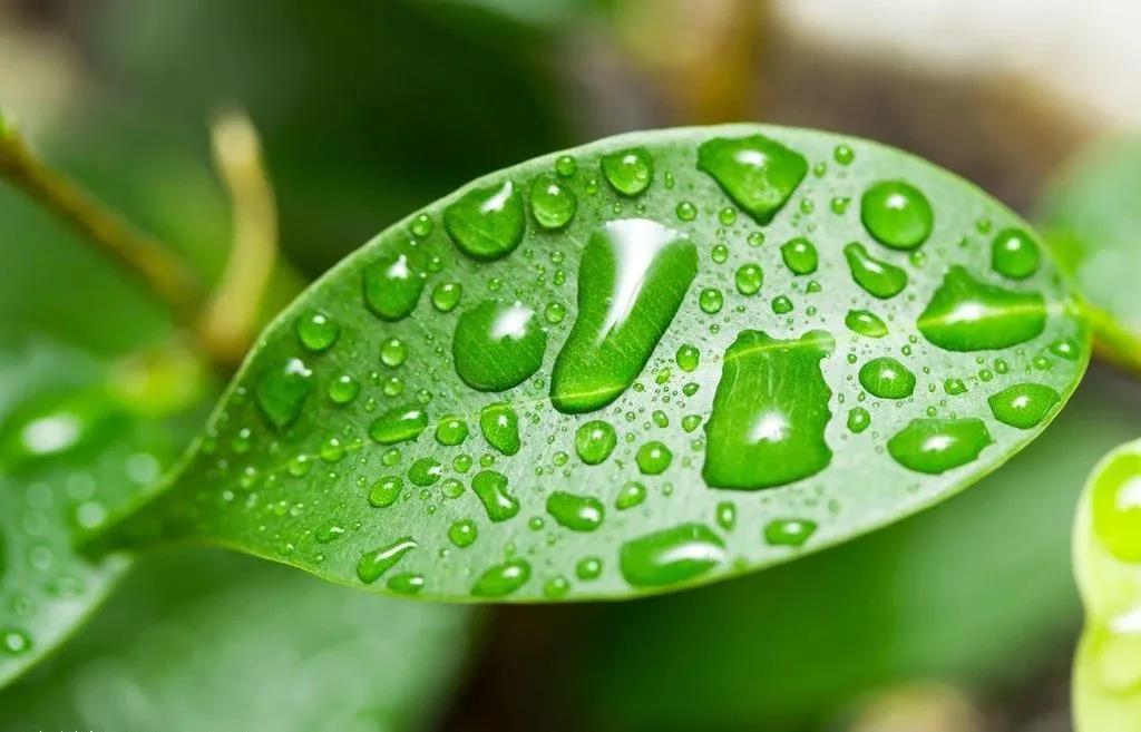 1630032963852950.jpg 1630032963852950.jpg