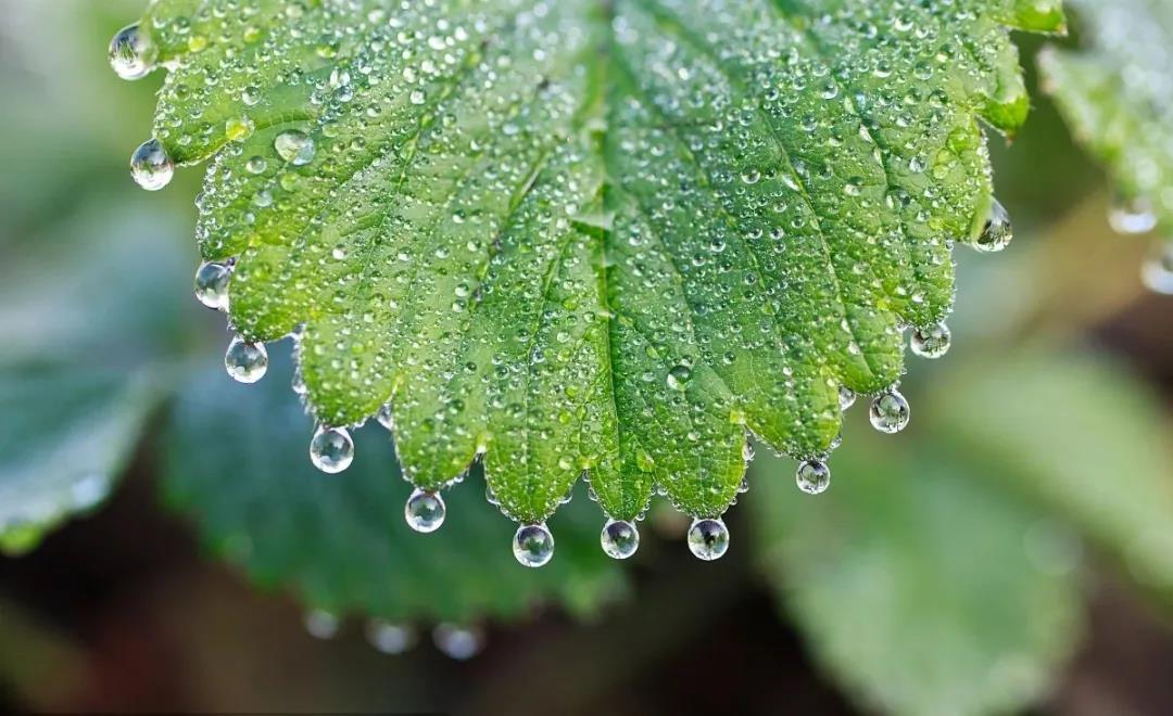 1630033012101183.jpg 1630033012101183.jpg