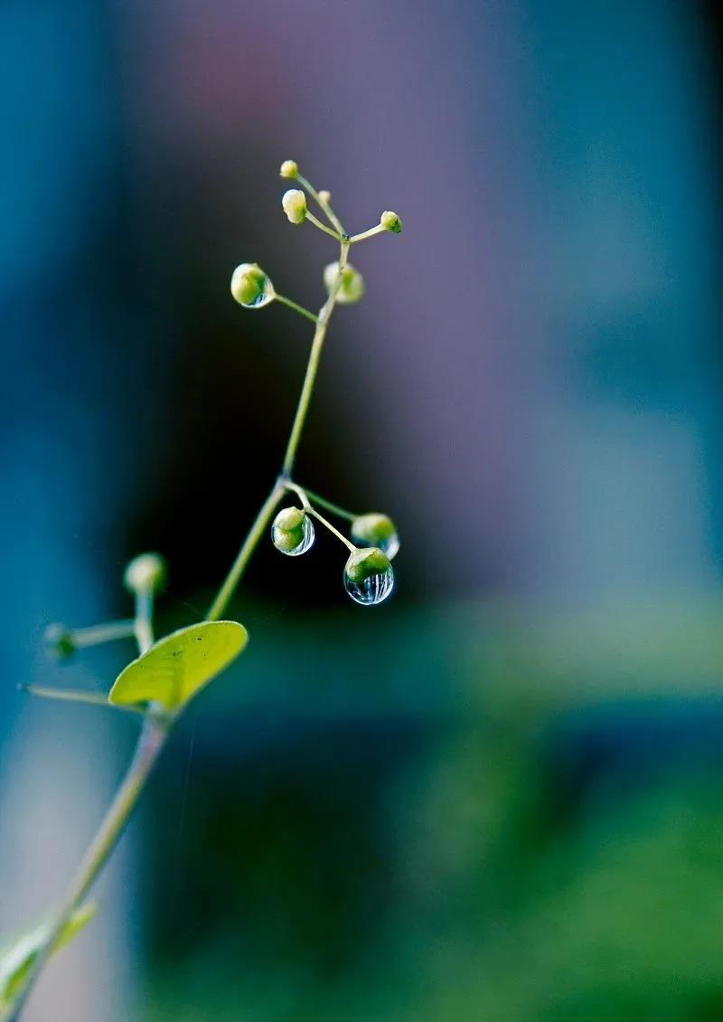 1630033034873317.jpg 1630033034873317.jpg