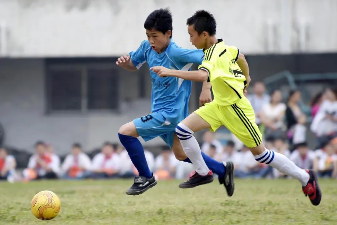 1630033443110661.jpg 1630033443110661.jpg