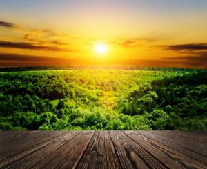 3月31日公益沙龍——人際關(guān)系動力性治療團體實戰(zhàn)體驗沙龍