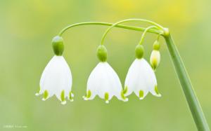  11月30日心理沙龍：做智慧父母，理解孩子行為背后隱藏的真實心理需求 