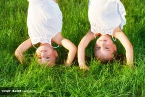 姐妹？冤家？