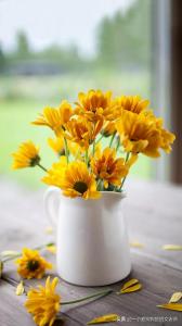 【周五晚公益線上心理課】學(xué)習(xí)考試焦慮，父母做孩子的守護(hù)神?。? /></a></p>
                                                <p>學(xué)習(xí)考試焦慮，理解孩子和自己，調(diào)整好家庭備考狀態(tài)……本周五晚8:00，心理咨詢研究會(huì)為父母們提供線上直播守護(hù)支持。</p><p><br/></p><p style=